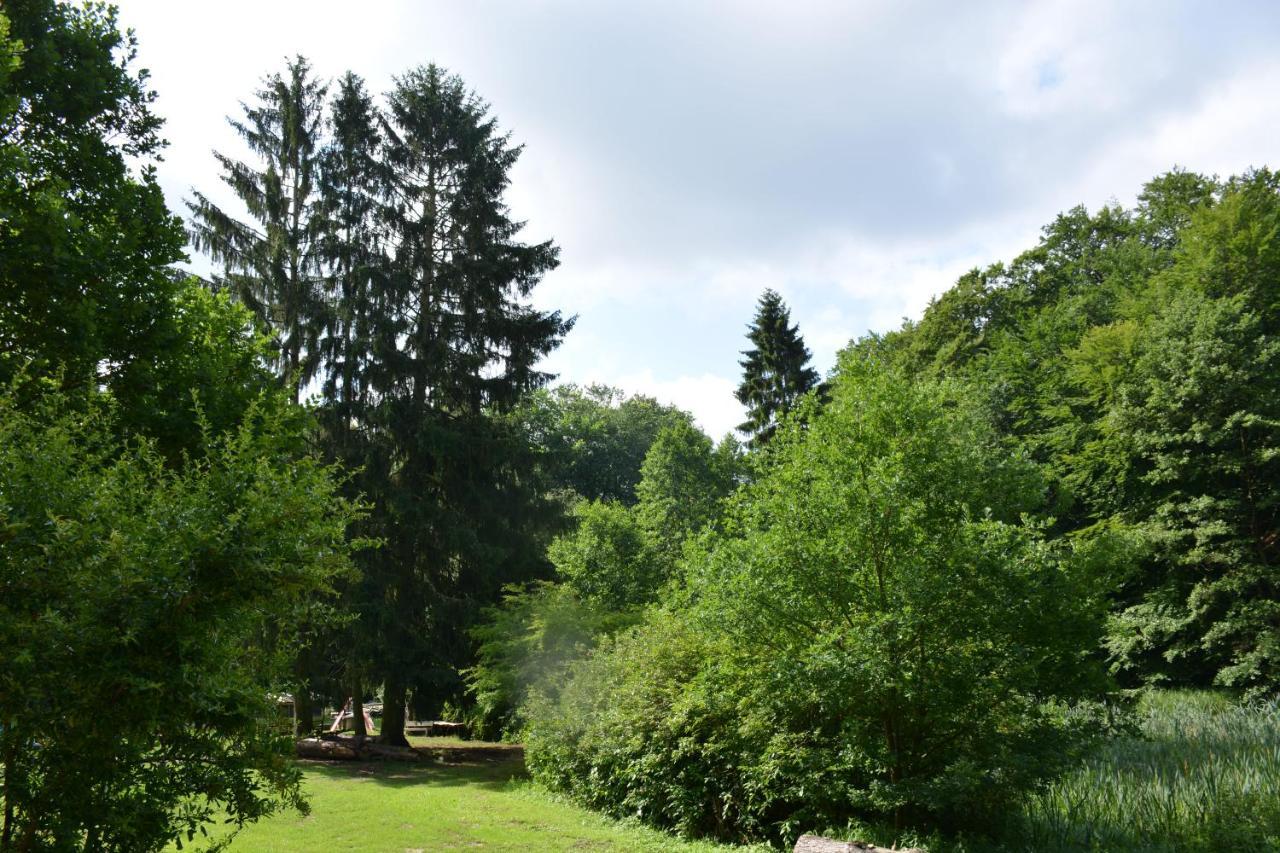 Bungalows Am Waldessaum Bei Hohenzieritz Buitenkant foto