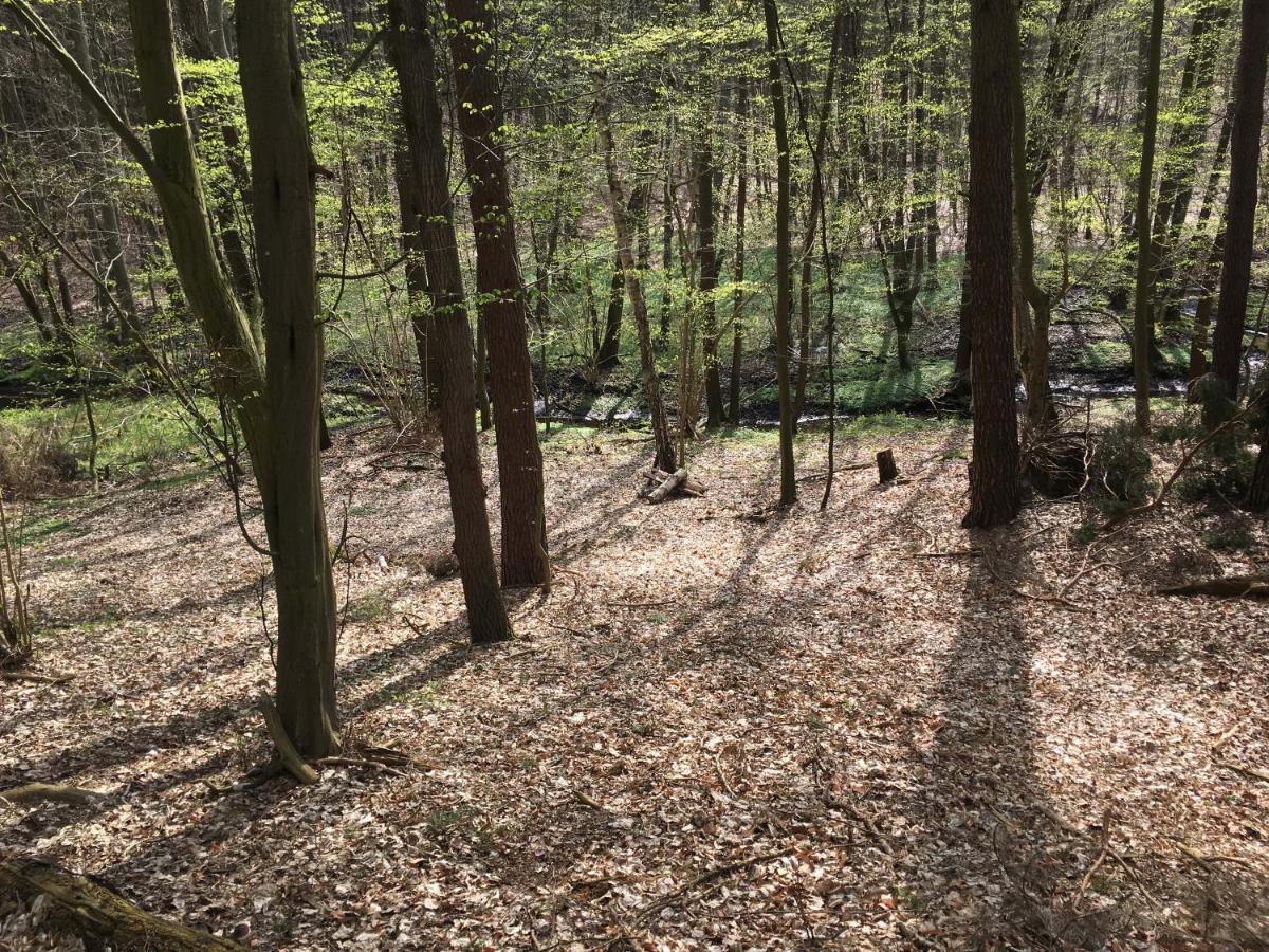 Bungalows Am Waldessaum Bei Hohenzieritz Buitenkant foto